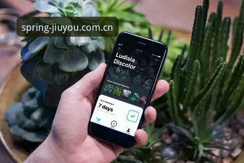 九游APP 九游APP春创版全面评测:数据替代方案与实战场景体验
